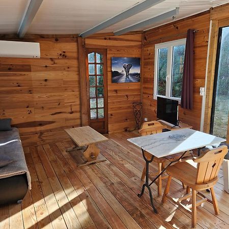 Chalet Banane Devant Piscine, A 6Km Du Festival De Piano De La Roque D'Antheron Rognes Buitenkant foto